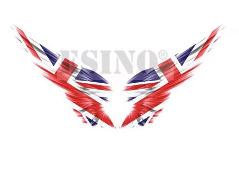 Motorcycle Tank & Luggage Flag Wings 
