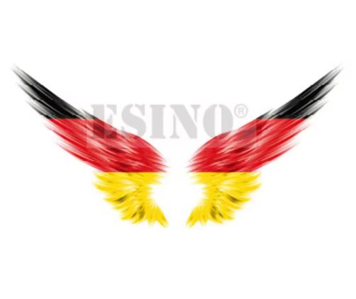 Motorcycle Tank & Luggage Flag Wings 