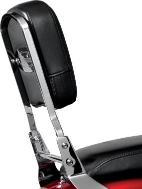 NATIONAL CYCLE PALADIN BACKREST
