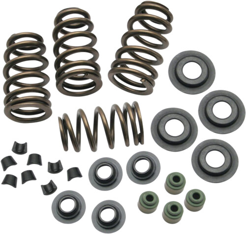 ROCKET PERFORMANCE GARAGE LLC BEEHIVE CONVERSION SPRING KIT EVO BT 84-03 .650 LIFT