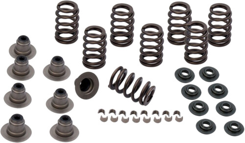 ROCKET PERFORMANCE GARAGE LLC SPRING KIT .600 LIFT M8 MODELS